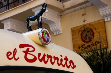 Elburrito (5)